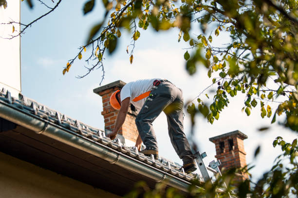 Best Storm Damage Roof Repair  in Greendale, WI